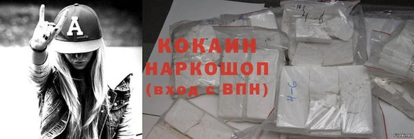 PSILOCYBIN Кукмор