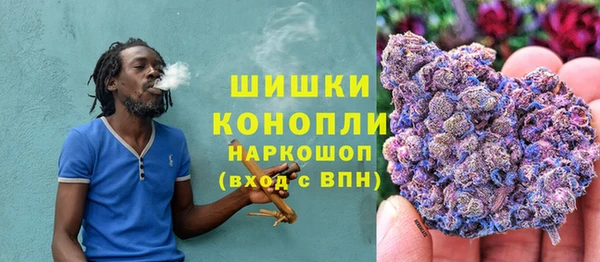PSILOCYBIN Кукмор