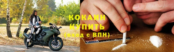 PSILOCYBIN Кукмор
