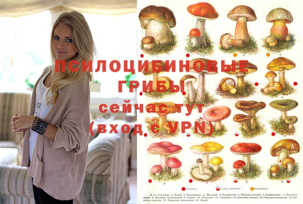 не бодяженный Куйбышев